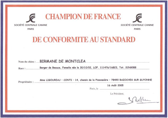 Birmane De Montclea (23)